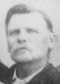 Hans Peter Wilhelm Schmidt (1848 - 1898) Profile